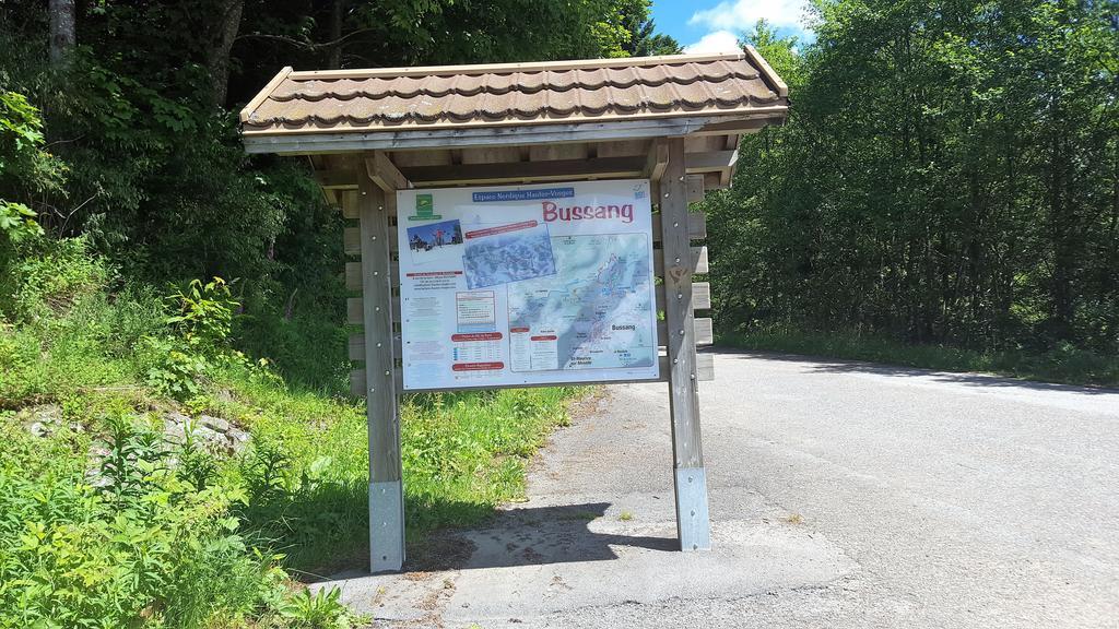 Gite De Papy Toualy Bussang Exterior photo